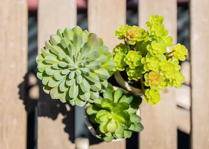 Lejlighed Cathedral Ii